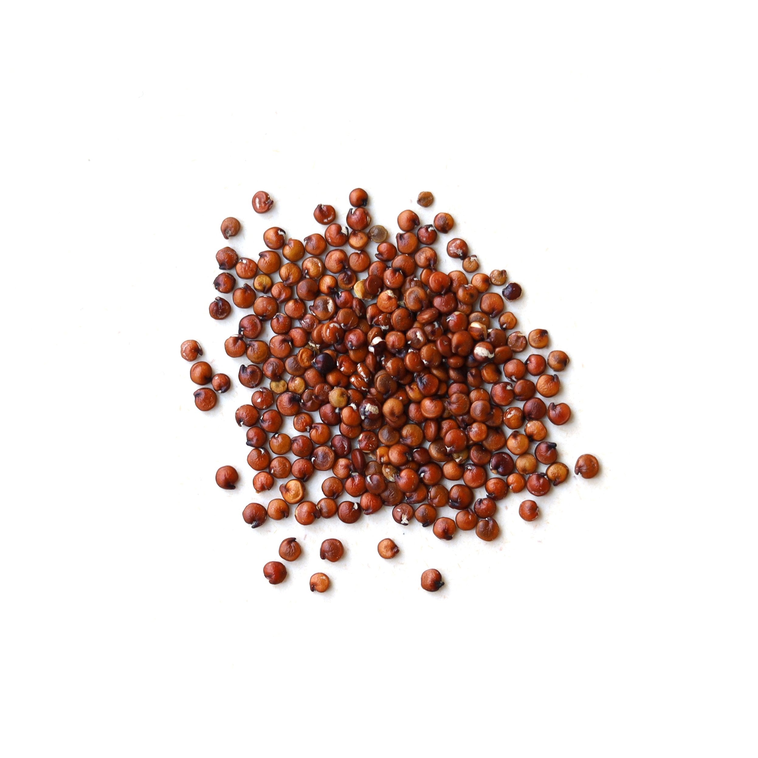 Organic Tricolor Quinoa Grain