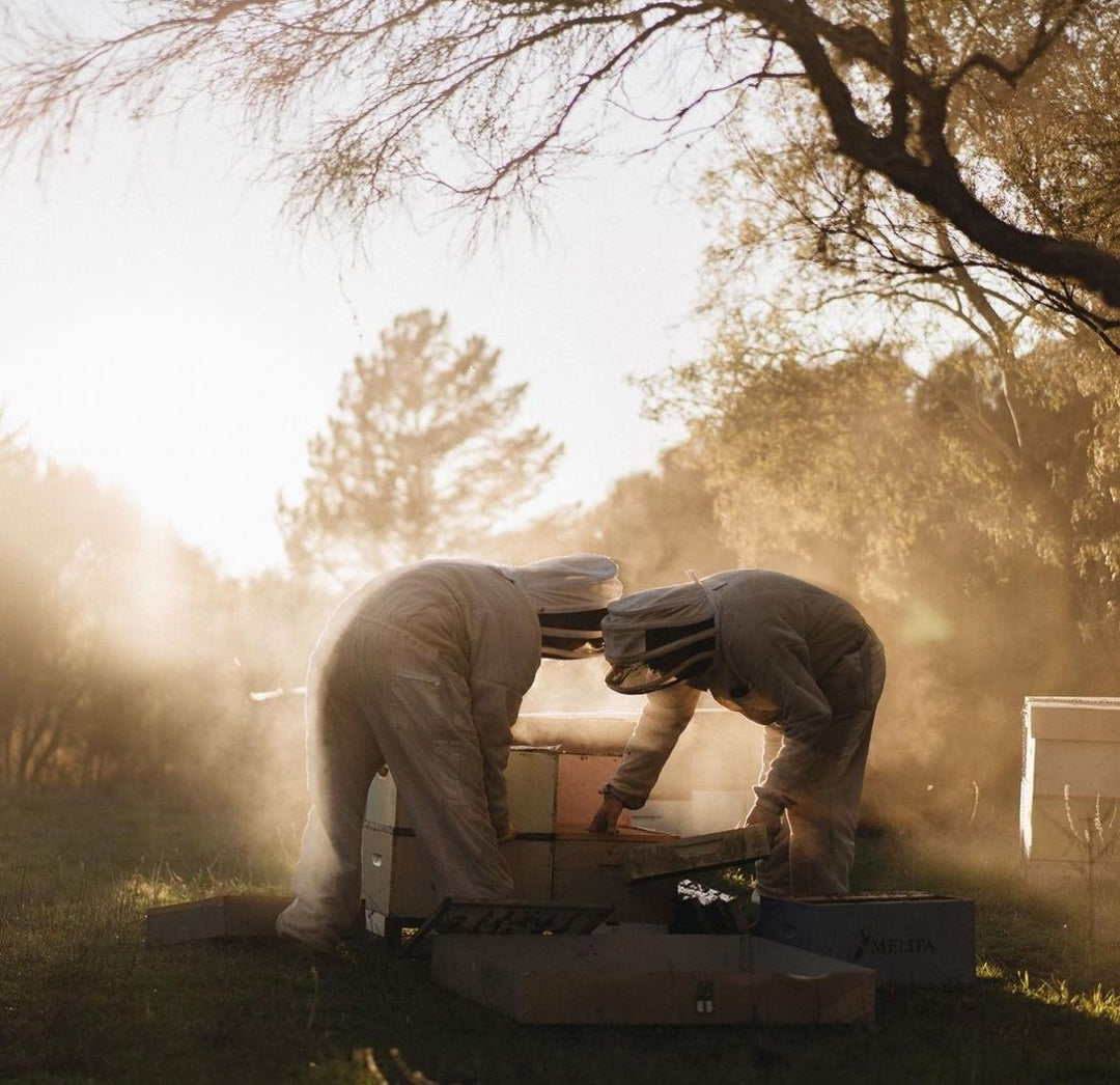 Manuka Honey: The Natural Power of Liquid Gold