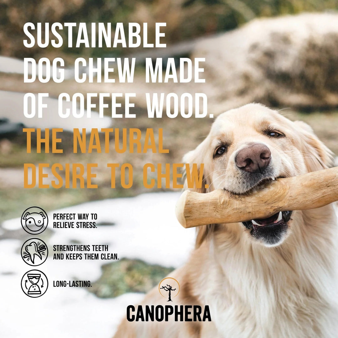 Coffee Wood Dog Chew - X-Large - Slowood