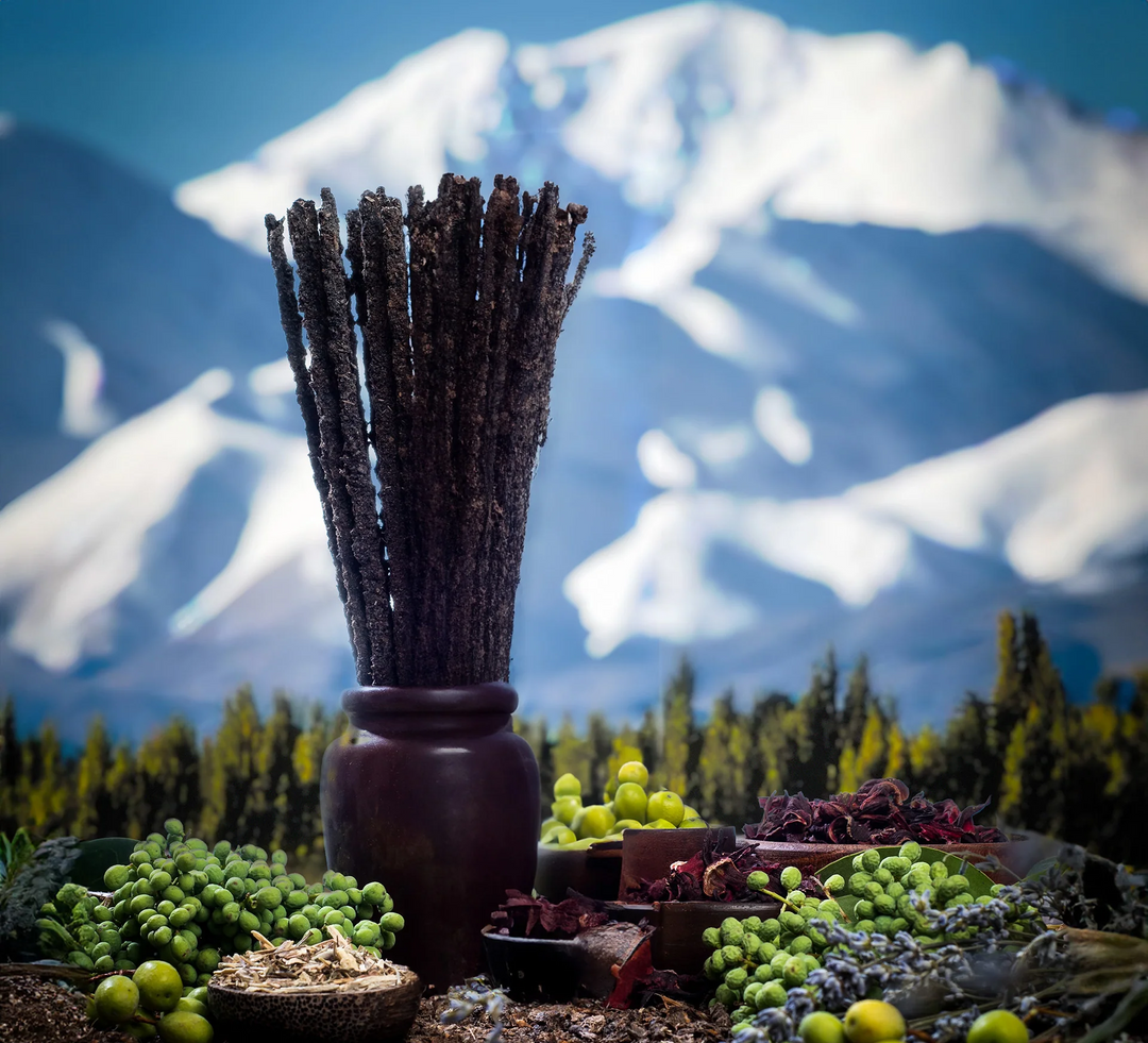 Incense Patagonia - Vanila & Orange