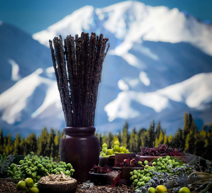 Incense Patagonia - Vanila & Orange