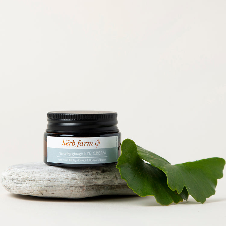 Restoring Ginkgo Eye Cream 20ml - Slowood