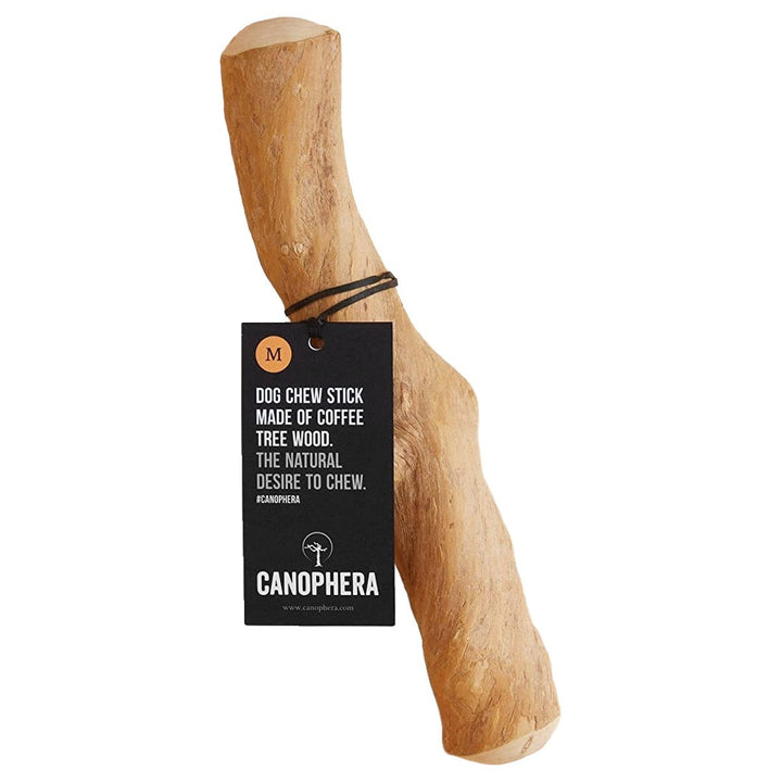 Coffee Wood Dog Chew - Medium - Slowood