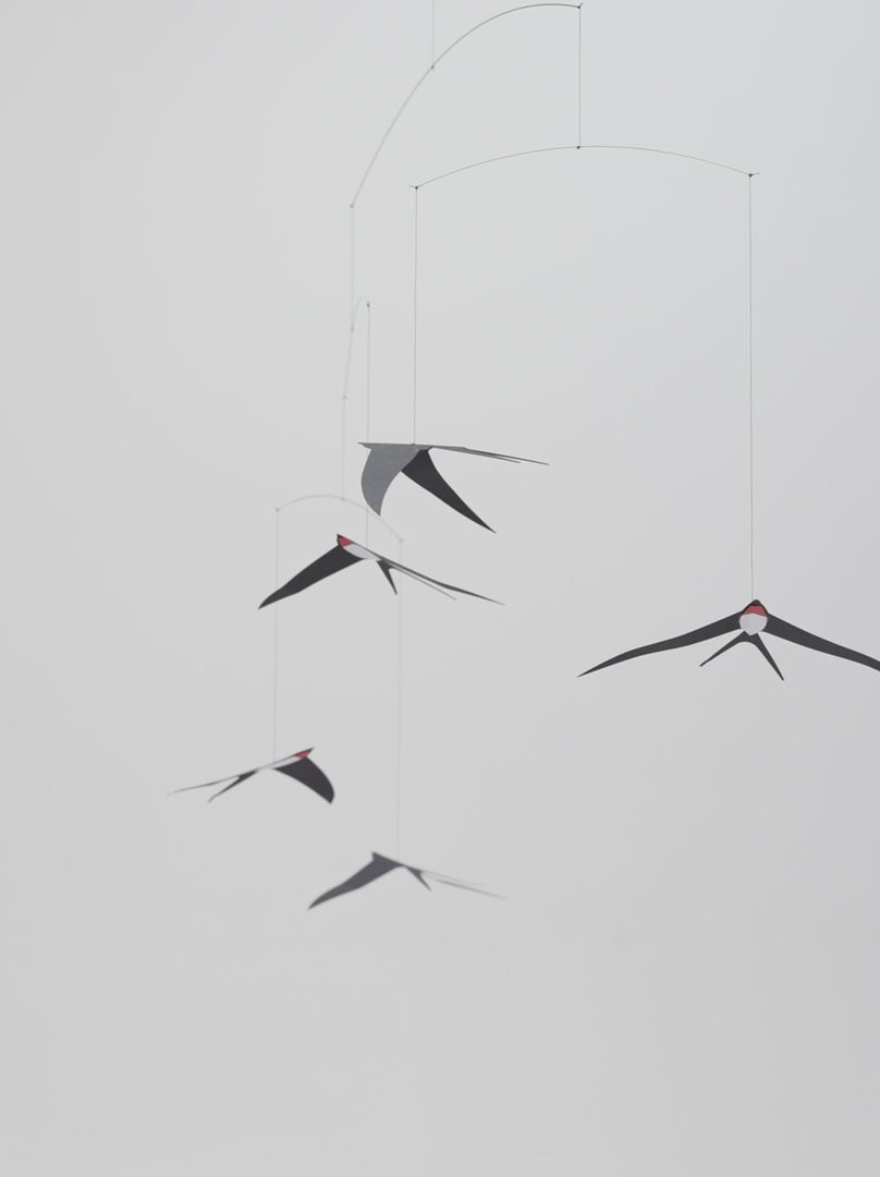 Flying Swallows 5