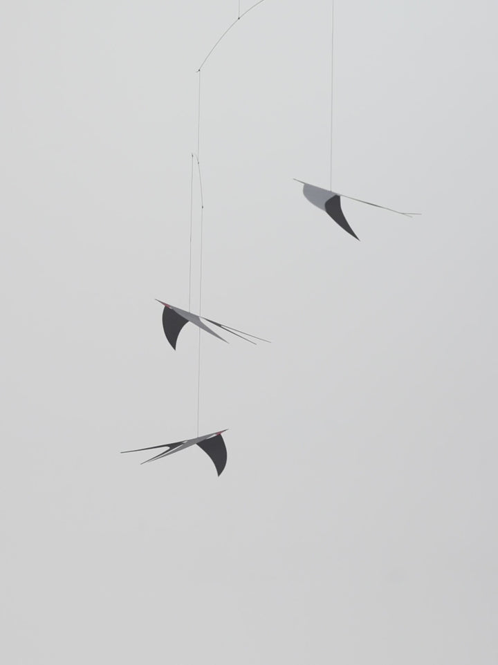 Flying Swallows 3