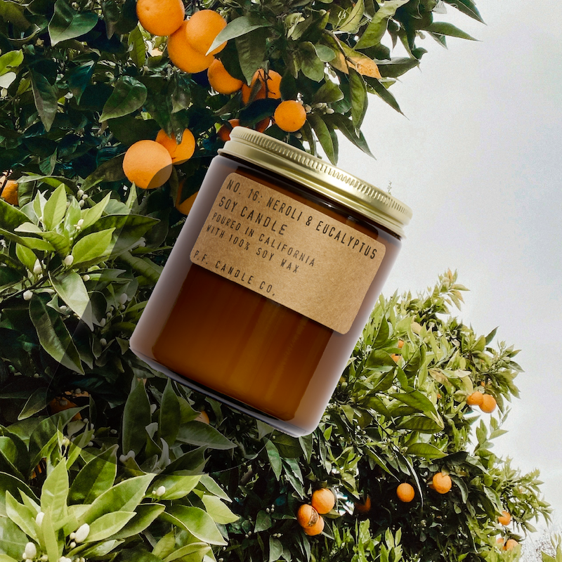 Neroli & Eucalyptus 7.2oz Soy Candle