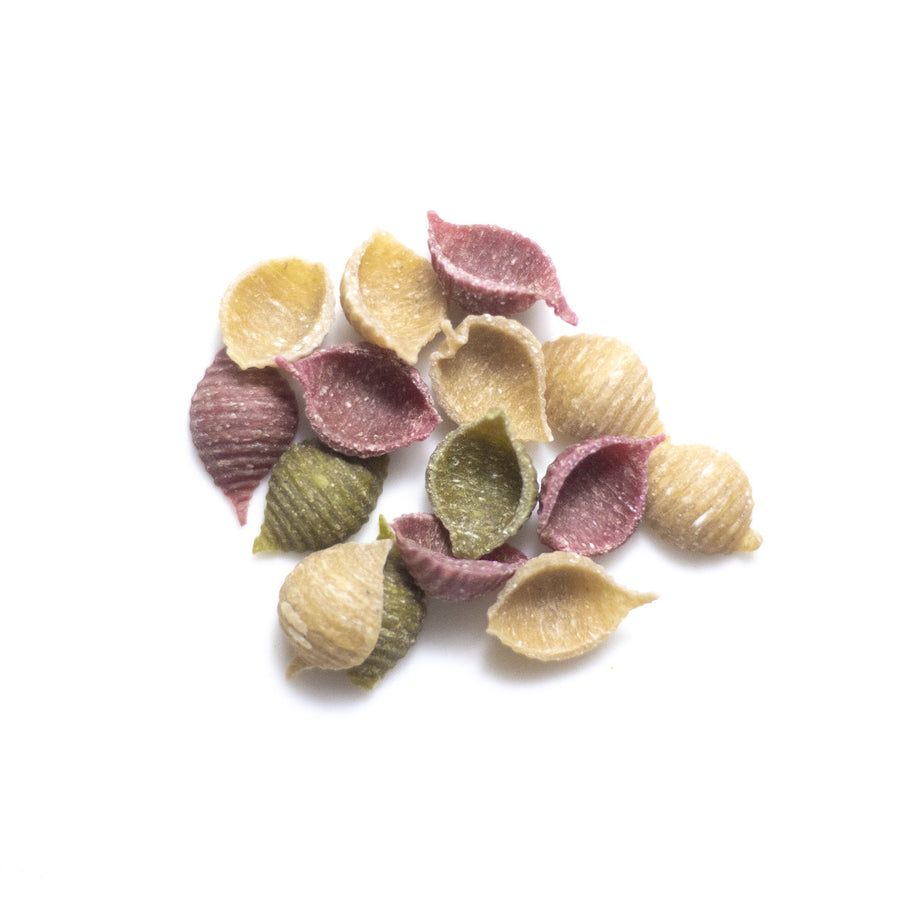 P17 Organic Vegetables Shell Pasta - Slowood