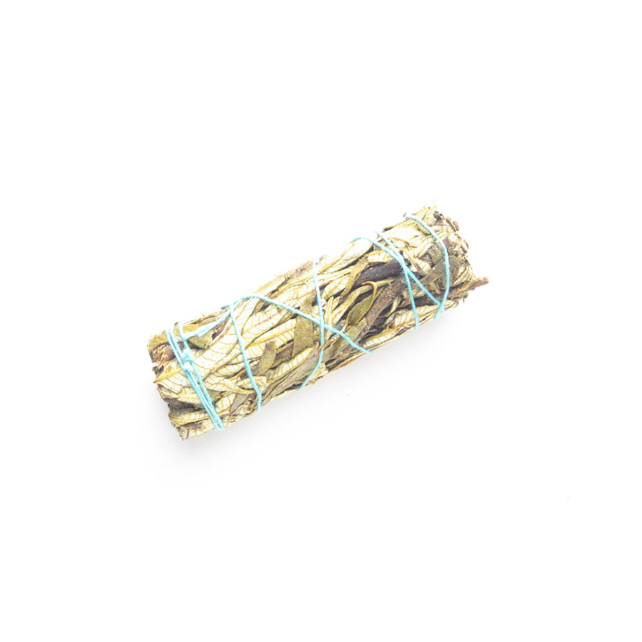 Yerba Santa Sage 4-Inch (sold by bundle) - Slowood