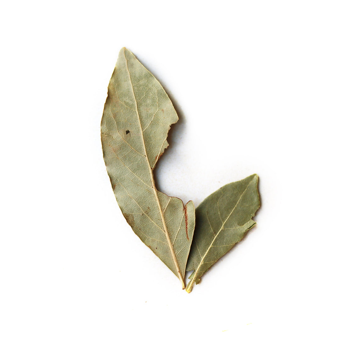 SP13 Bay Leaves - Slowood